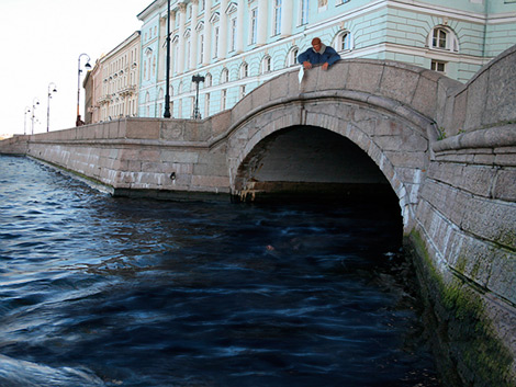 The Nose bridge